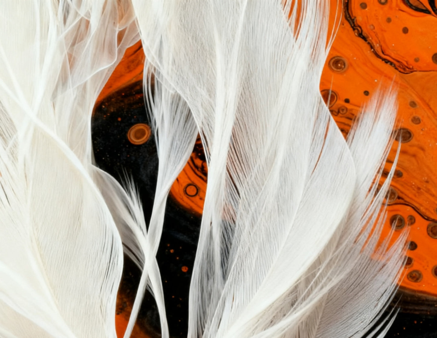 #DA2500676 Feathers on Vibrant Patterns