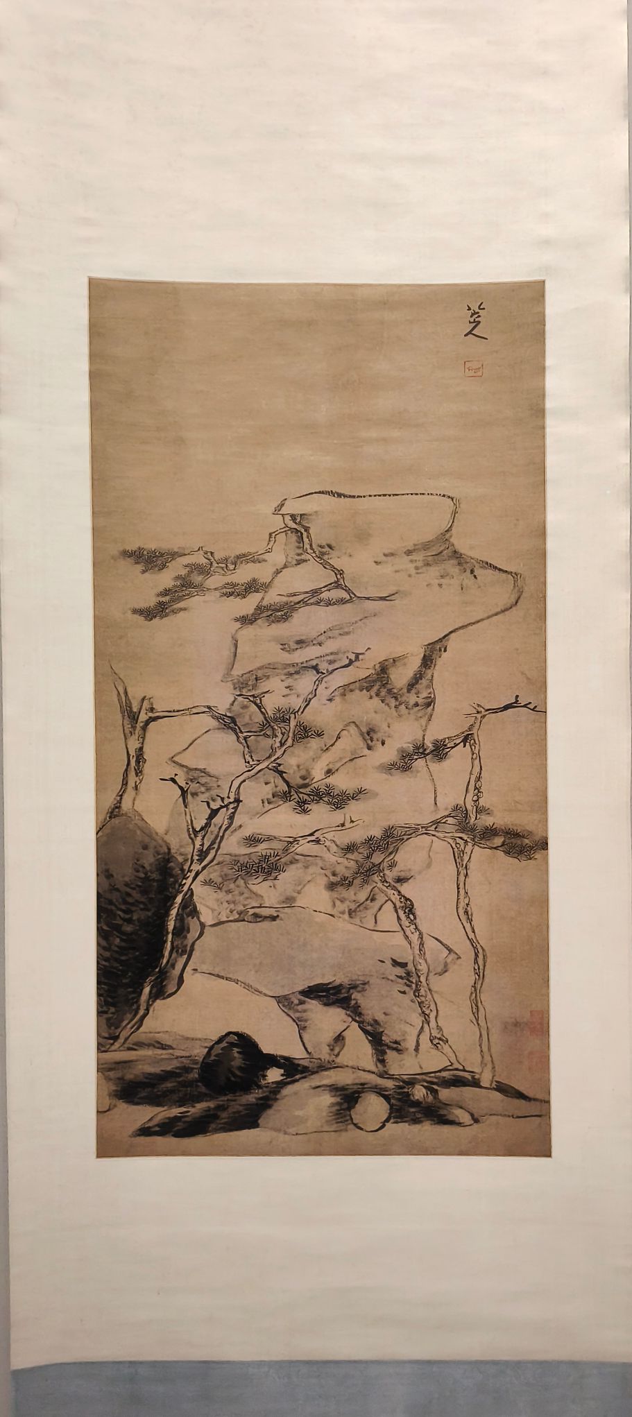 #DAGH2500001 Five Pine Trees