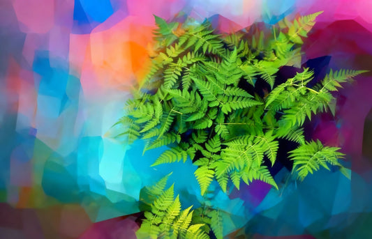 #DA2500540  Fern in Colorful Haze