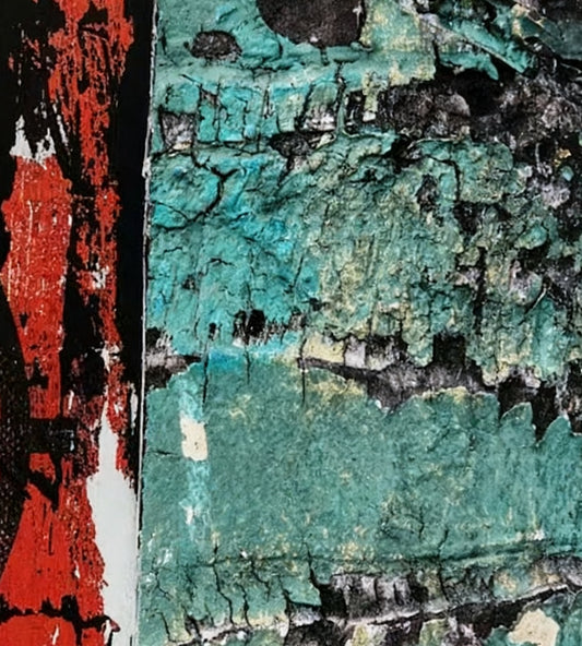 #DA2500635 Textured Contrast of Colors