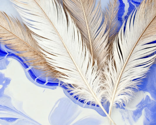 #DA2500677 Feathers on Blue Swirls