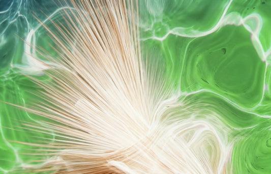 #DA2500644 Abstract Fusion of Green and Beige Textures