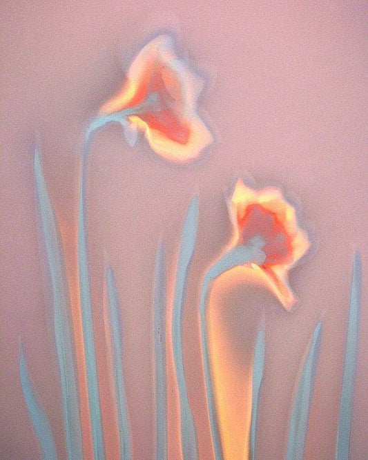 #DA2500114 The flowers