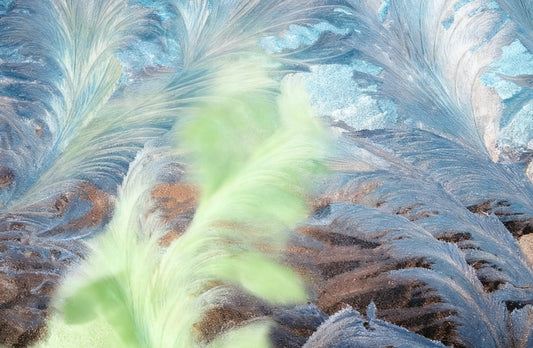 #DA2500646 Abstract Feathery Color Fusion